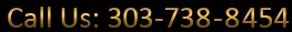 (303)738-8454