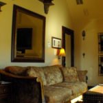 lions den living area