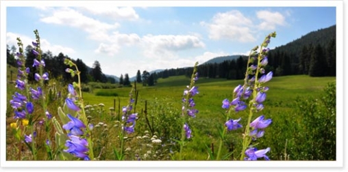 Things to Do in Colorado