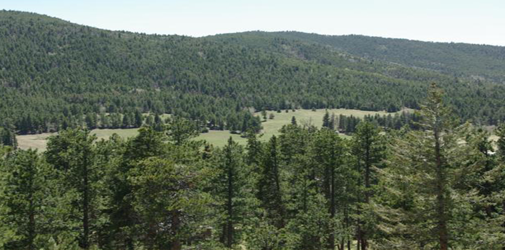view from lions den at arrowhead manor bed and breakfast mountain hotel near denver