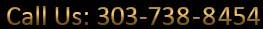 (303)738-8454